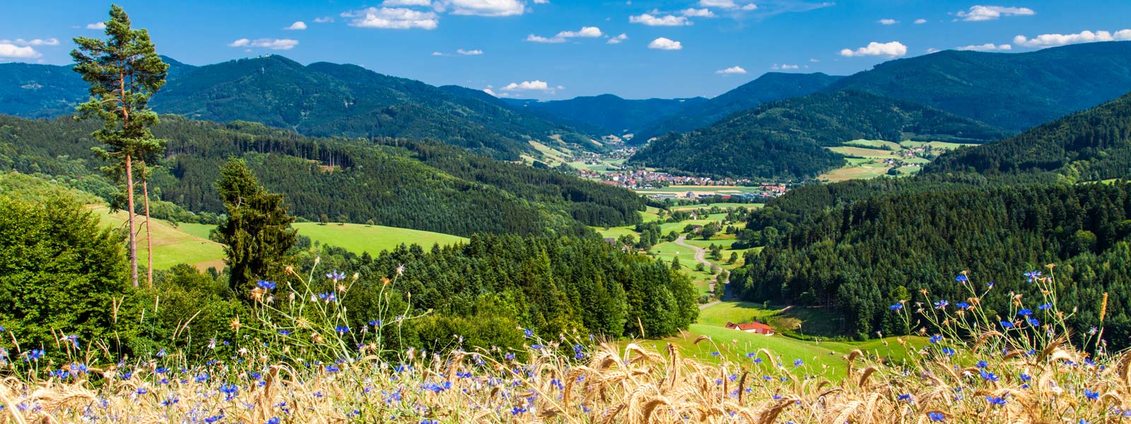 Aussicht auf die Gemeinde Gutach im Breisgau von Oben 